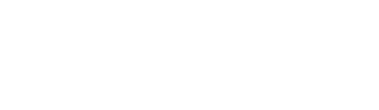 Noah AI